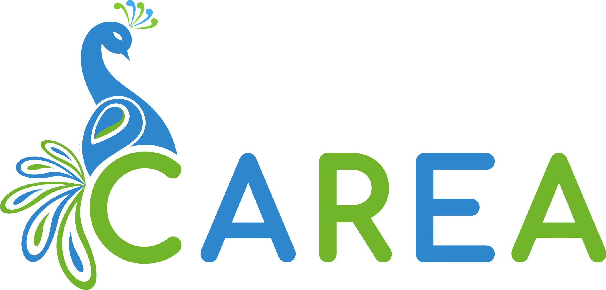 CAREA Reflexology Academies